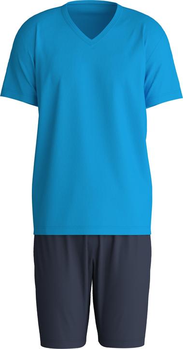 bleu malibu