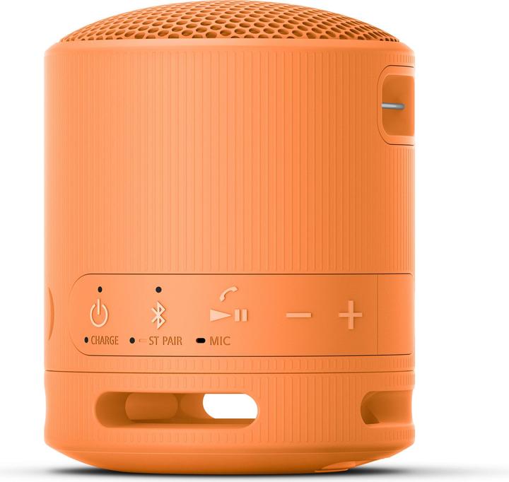 Image du produit Sony SRS-XB100 (16 h, Fonctionnement sur batterie)