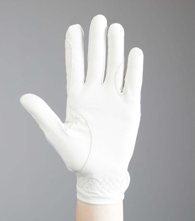 Actual product image Premier Equine Bordoni (L)