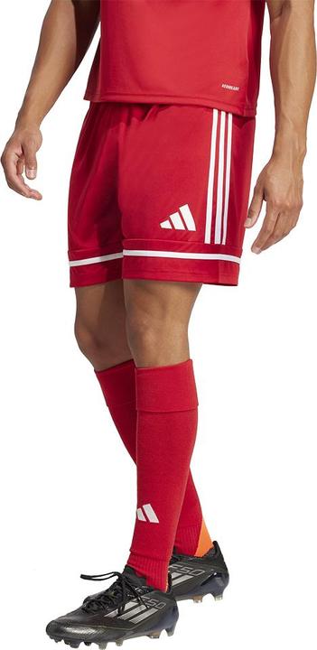 Actual product image adidas Squadra 25 Short (XS)