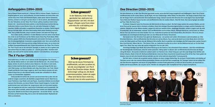 Actual product image Tribute Edition Harry Styles mosaic sticker book