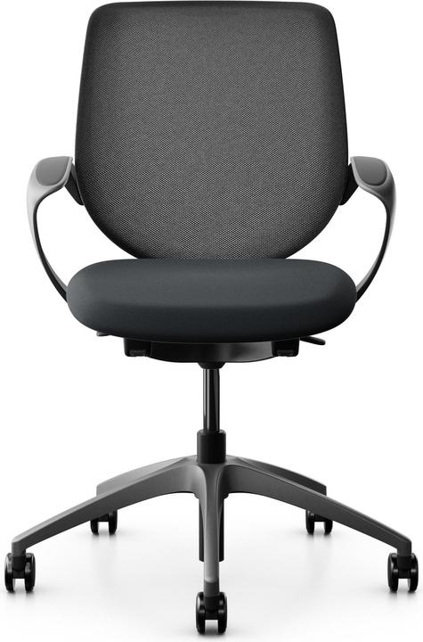 Actual product image Giroflex Netzrücken mit Armlehnen 313