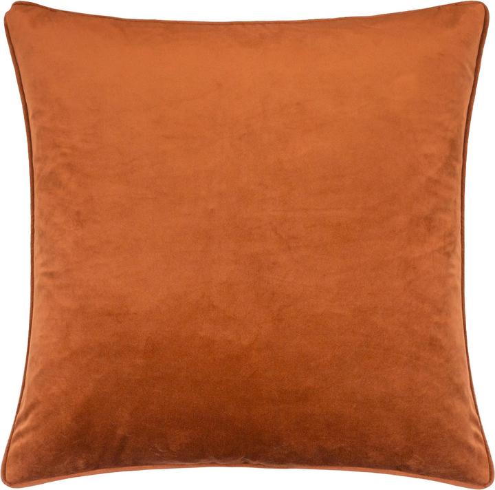 Couleur gingembre