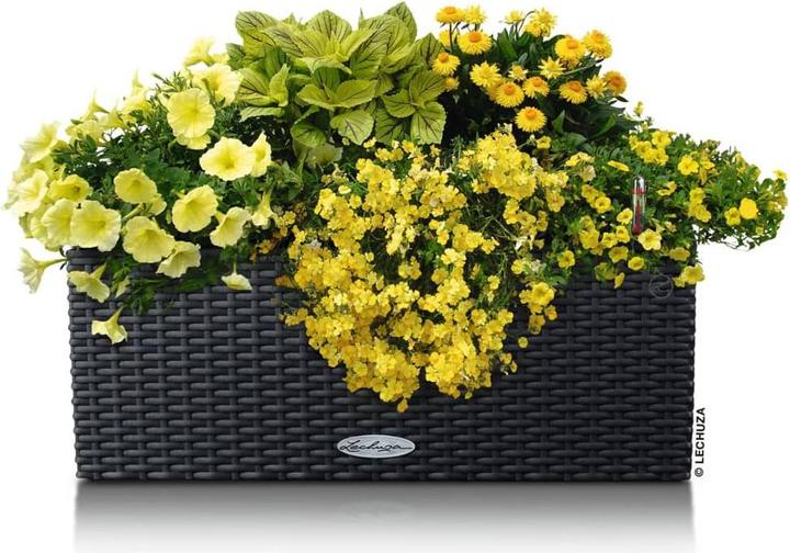 Produktbild Lechuza Balconera Cottage (19 cm)