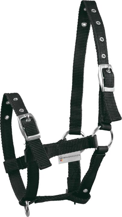 Waldhausen Triple