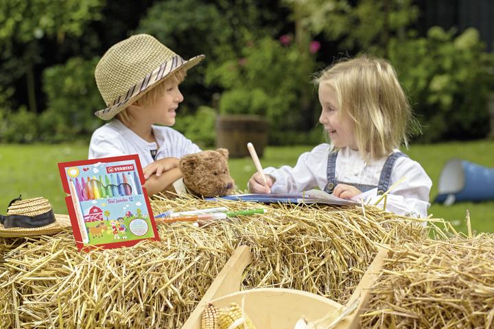 Image du produit STABILO Trio Jumbo Feutre épais (Multicolore, 12 x)