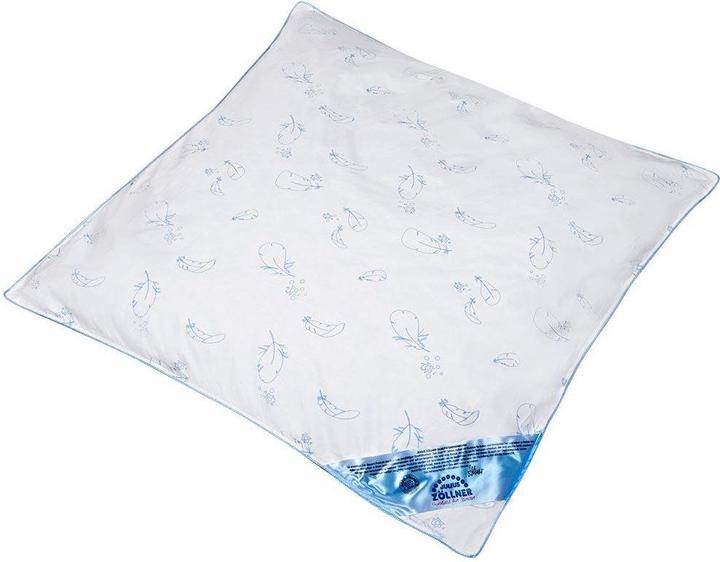 Image du produit Julius Zöllner Couette, duvet (80x80 cm) (80 x 80 cm)