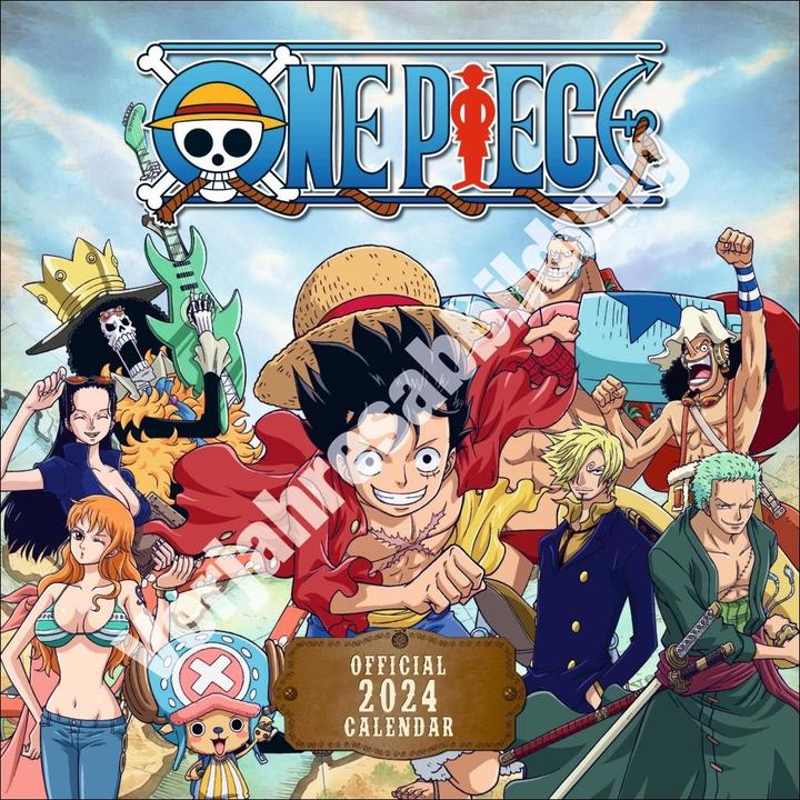 One Piece brochure calendar 2025 (English)