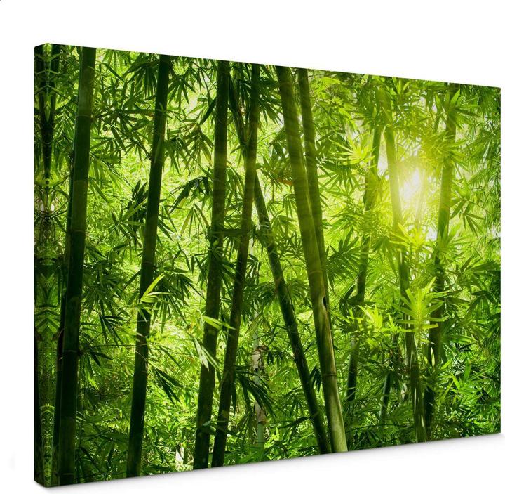 Immagine prodotto Trenddeko Il sole nella foresta di bambù (180 x 120 cm)