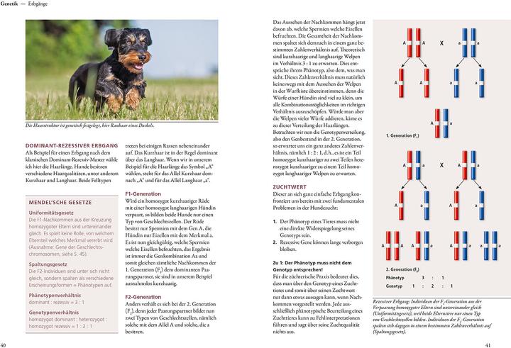 Actual product image Kosmos Hundezucht (German, Helga Eichelberg, 2022)