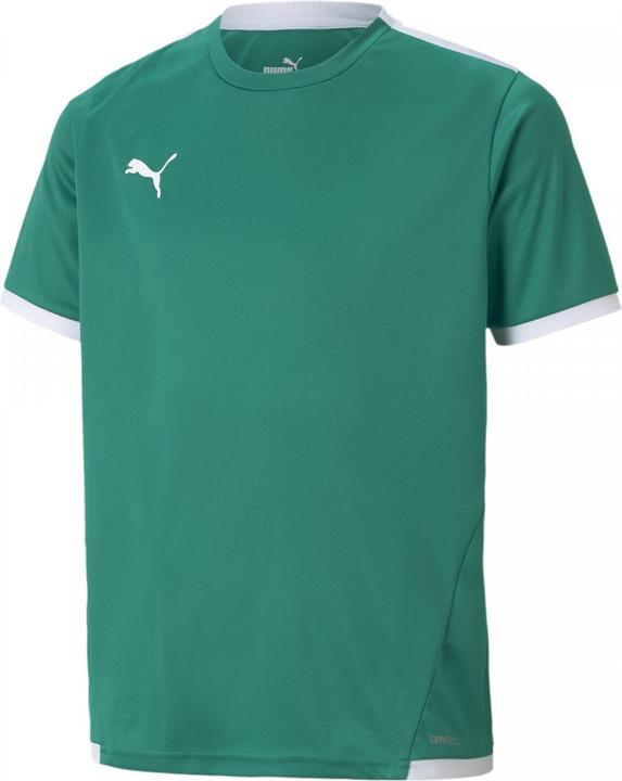 Image du produit Puma Maillot teamLIGA Jr-704925 (176)