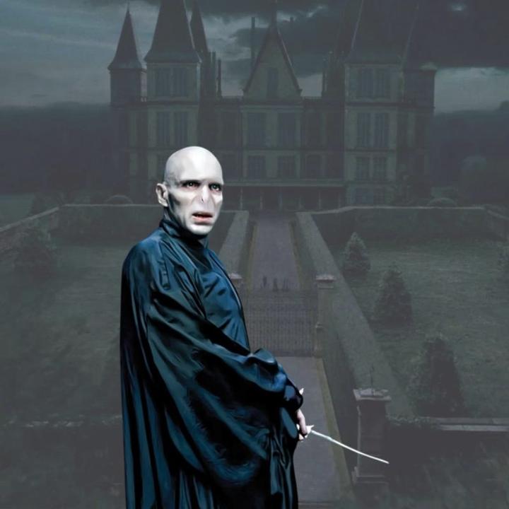 Immagine prodotto Noble Collection Bacchetta magica di Lord Voldemort