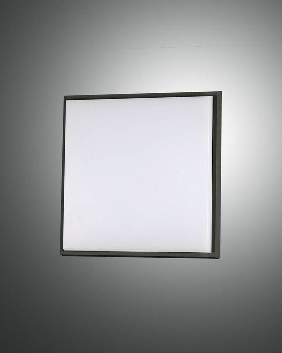 Image du produit Fabas Luce Plafonnier Plafonnier entrée IP54 plastique acrylique (900 lm)