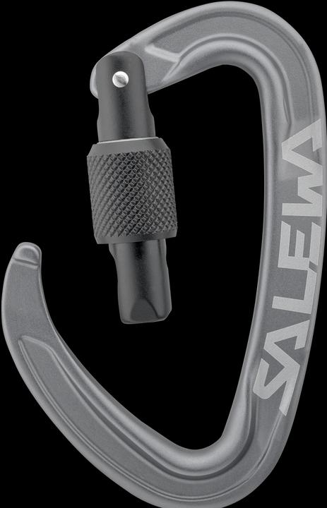 Immagine prodotto Salewa Ortles Screw Carabiner