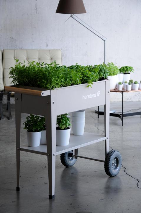 Actual product image Herstera Barcelona Liso