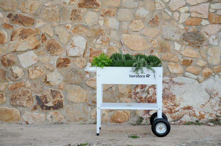 Actual product image Herstera Barcelona Liso