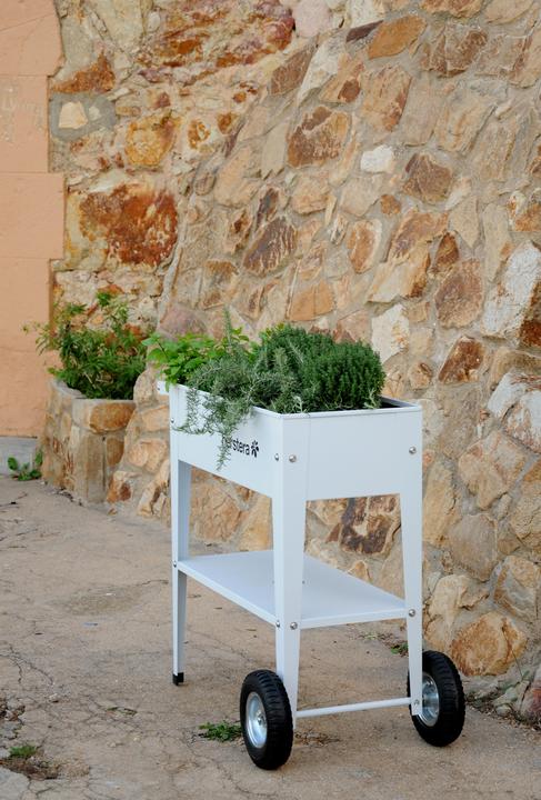 Actual product image Herstera Barcelona Liso