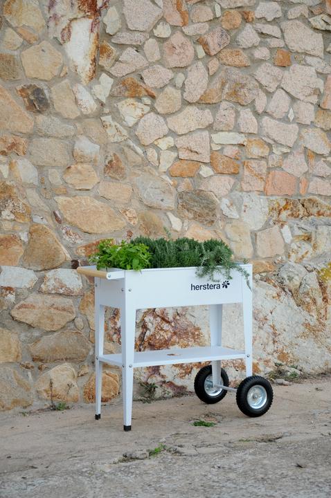 Actual product image Herstera Barcelona Liso