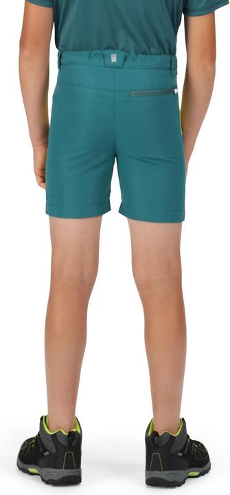 Immagine prodotto Regatta Pantaloncini Sorcer Ii (146, 152)
