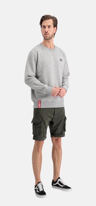 Produktbild Alpha Industries Sweatshirt (S)
