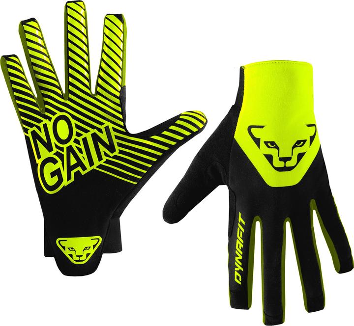 giallo neon-2471