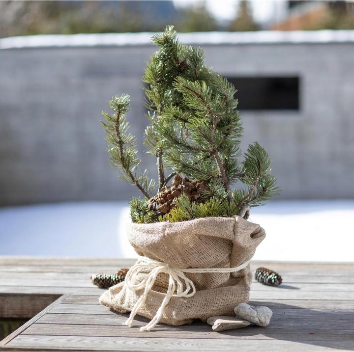 Actual product image Windhager Jute bag