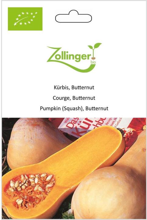 Immagine prodotto Zollinger Bio Zucca, noce di burro (Germogli)