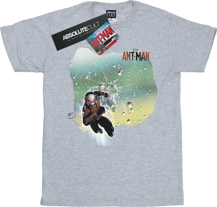 Produktbild AntMan Shatter TShirt (XL)