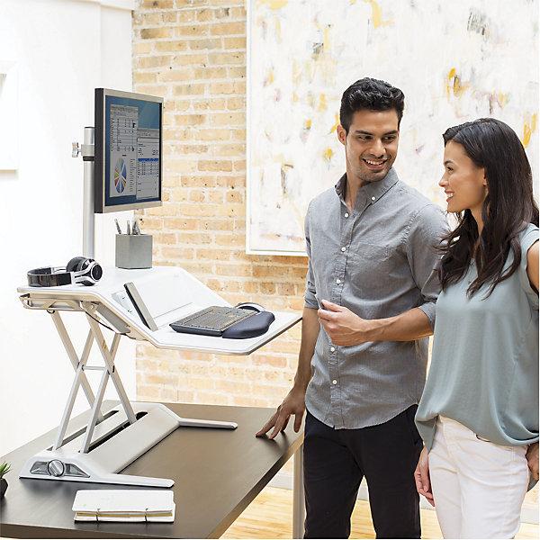 Actual product image Fellowes Lotus DX
