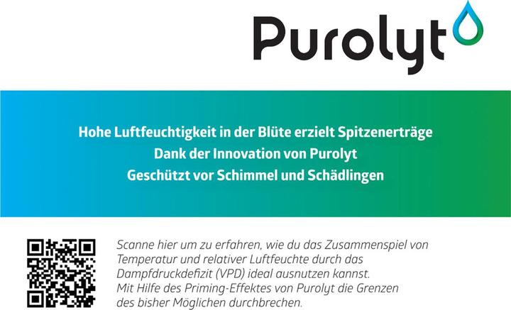 Produktbild Purolyt Desinfektion (1000 ml)