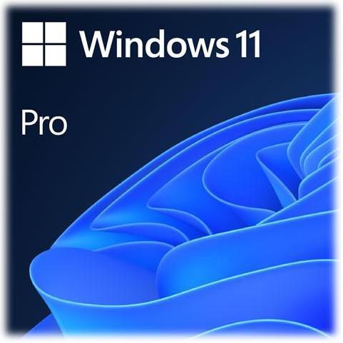 Image du produit Ernitec Windows 11 Pro OEM
