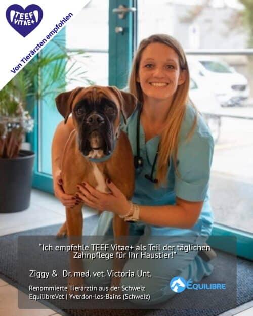 Actual product image Teef Vitae+ Dental care (Dog, Cat)