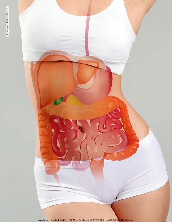 Image du produit Medical Cooking: F.X. Mayr-Ernährung (Allemand, Sepp Fegerl, Philipp Buttinger, 2024)