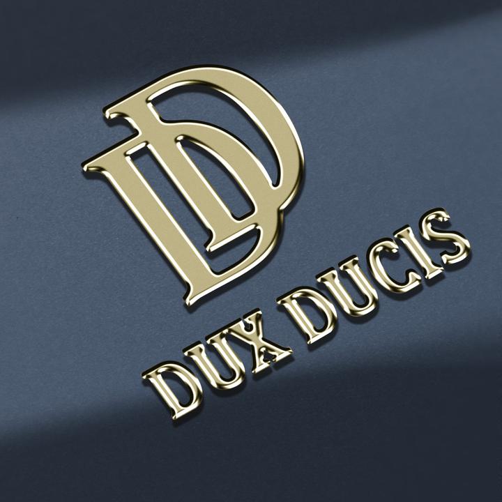 Actual product image Dux Ducis Skin Pro Series Bookcover (Honor Magic6 Lite)