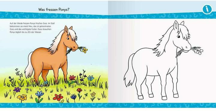 Nährwerte und Zutaten Ravensburger Wieso? Weshalb? Warum? junior AKTIV: Auf dem Ponyhof (Deutsch, Marie Zippel, 2024)