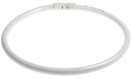 Image du produit Osram Lampe fluorescente (2GX13, 40 W, 3400 lm, 1 x, G)