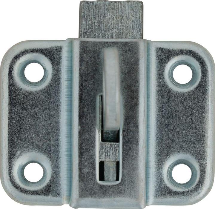 Actual product image Charmag Skylight catch 40x52 mm