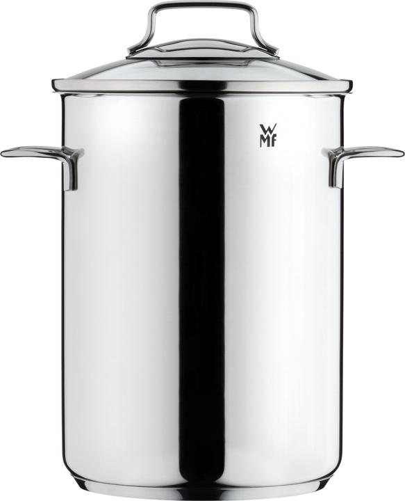 Productafbeelding WMF Asperge Pot Kookpot Inductie Hoog 16cm Pot met Glazen Deksel 5.0l Roestvrij Staal (16 cm, Steelpan, Roestvrij staal)