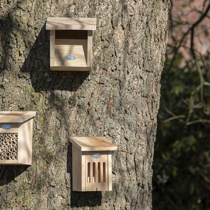 Produktbild Esschert Design Nistkasten Rotkehlchen