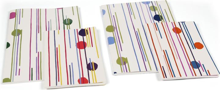 Actual product image Clairefontaine Punchy line (A4)