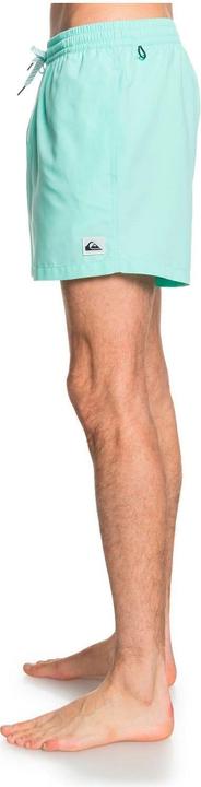 Actual product image Quiksilver Everyday Volleys (M)