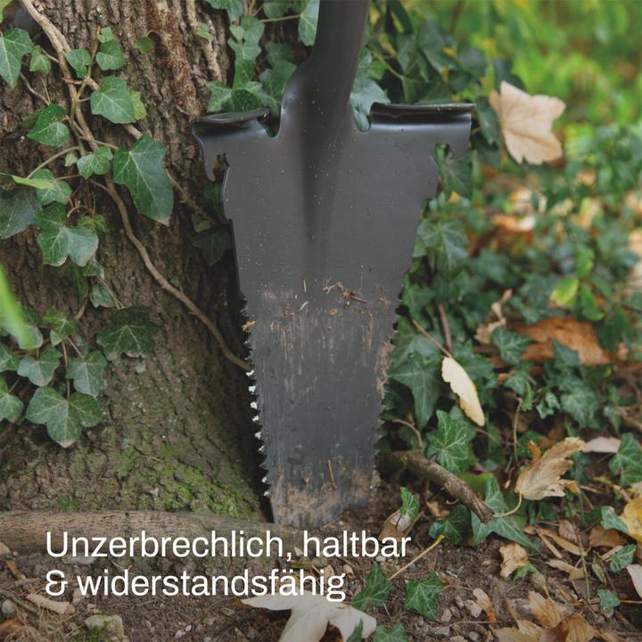 Actual product image MediaShop Rayzer