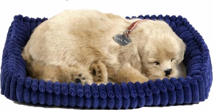 Actual product image Perfect Petzzz soft golden retriever dog (22 cm)