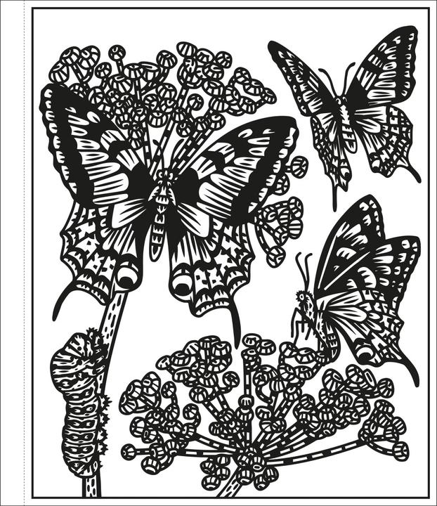Actual product image My Colour Magic Colouring Book: The Colourful World of Insects