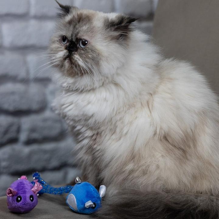 Produktbild Red Dingo Dingo Žaisliukas katė Pelė Tota & Upek 2 vnt. (Spielmaus Katze)
