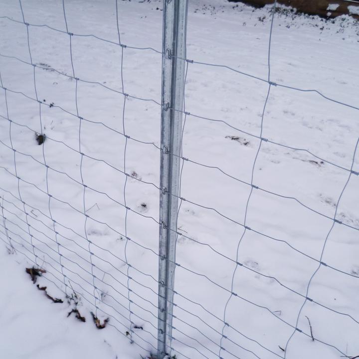 Immagine prodotto Aquagart 105 Z-Profil Zaunpfosten 1,50m Wildzaun Forstzaun Weidezaun Knotengeflecht