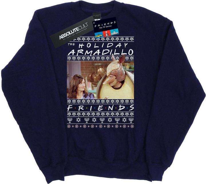 Image du produit Friends - Sweat FAIR ISLE HOLIDAY ARMADILLO - Homme (XL)