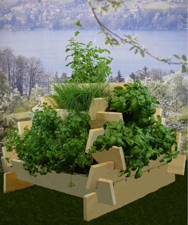 Actual product image DIY-Wood Herb pyramid untreated