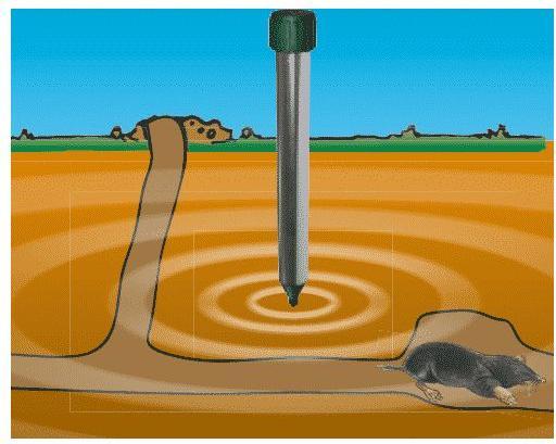Produktbild Windhager Wühlmaus-Schocker Solar