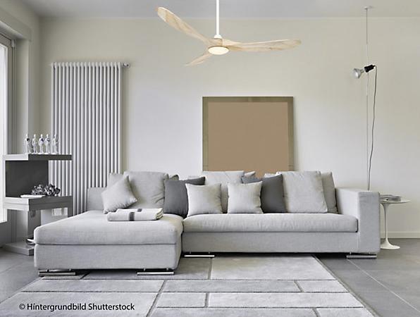 Actual product image CasaFan Eco Genuino-L (20 dB)